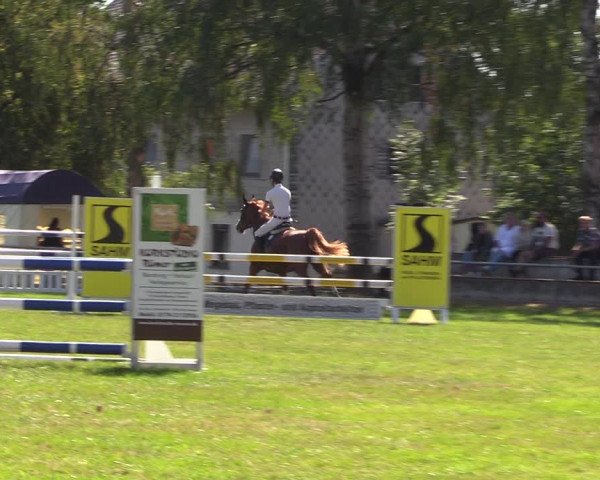 Reitturnier Altmittweida 2023
