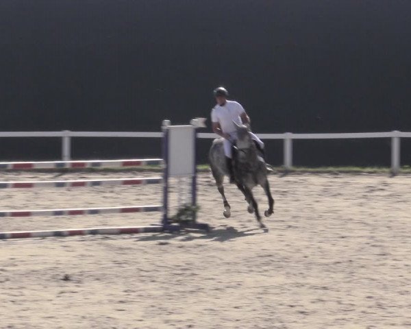 Reitturnier Bad Schmiedeberg 2023