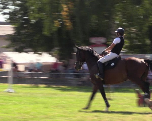 Reitturnier Altmittweida 2023