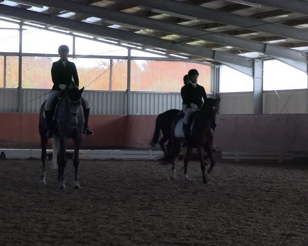 Reitturnier Marl, Hof Ostgathe 2023