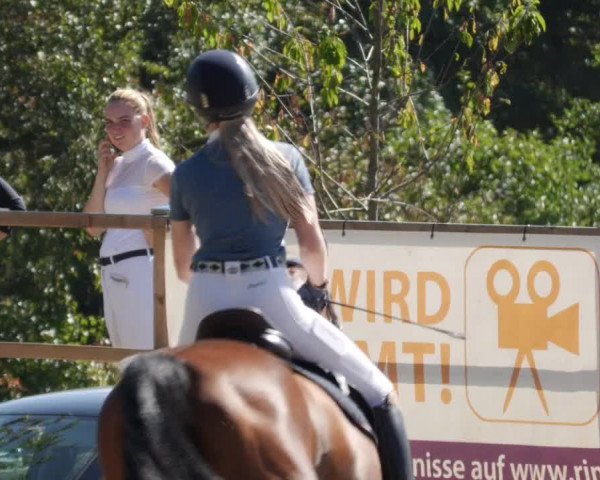 Reitturnier Waldenbuch-Hasenhof 2023