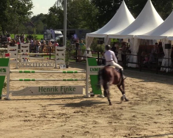 Reitturnier Albersloh 2023