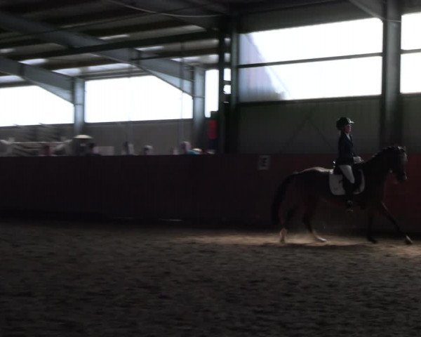 Reitturnier Marl, Hof Ostgathe 2023