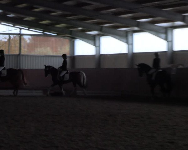 Reitturnier Marl, Hof Ostgathe 2023