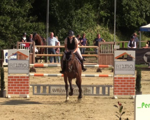 Reitturnier Albersloh 2023