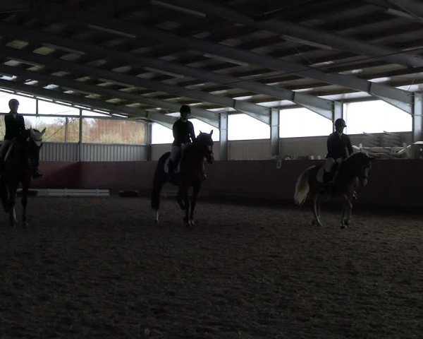 Reitturnier Marl, Hof Ostgathe 2023