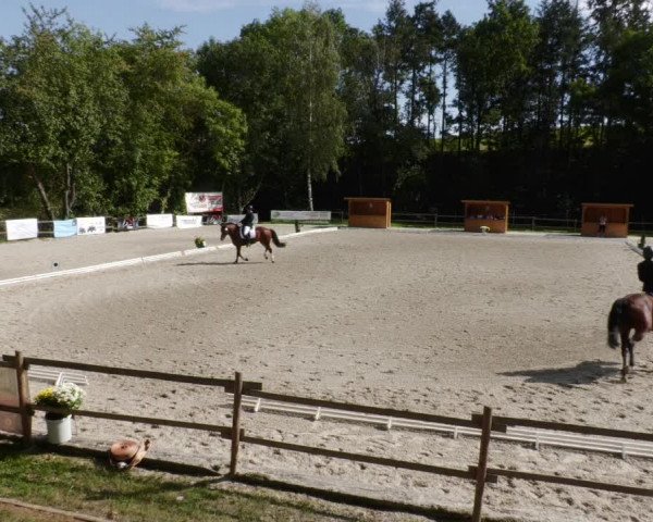 Reitturnier Ditzingen 2023