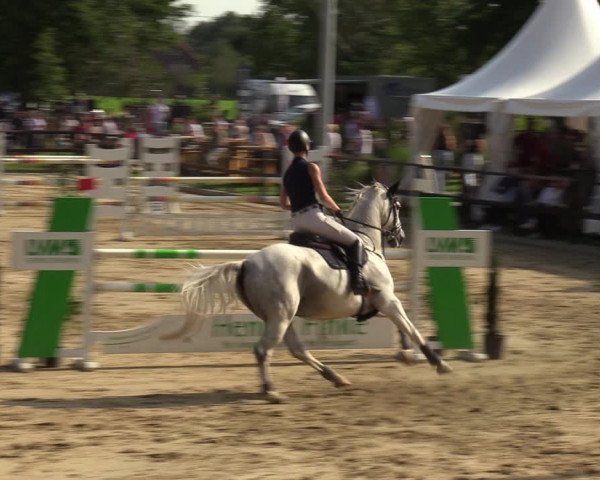 Reitturnier Albersloh 2023