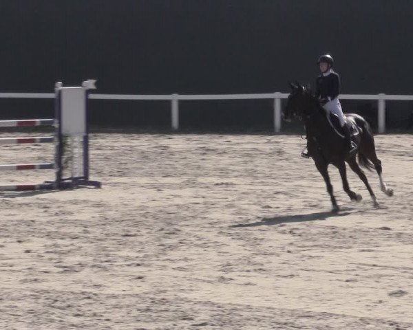 Reitturnier Bad Schmiedeberg 2023