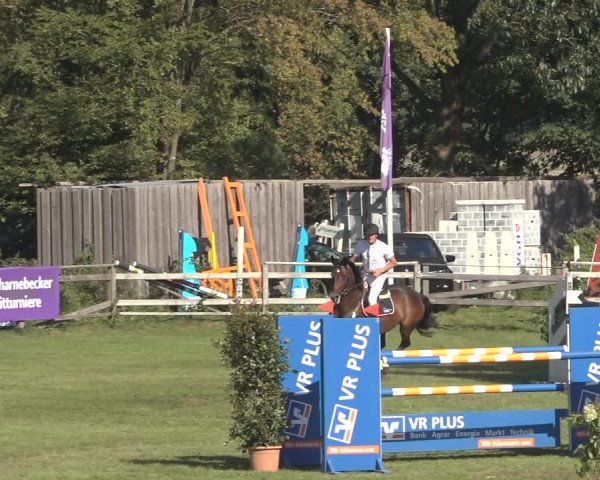 Reitturnier Scharnebeck 2023