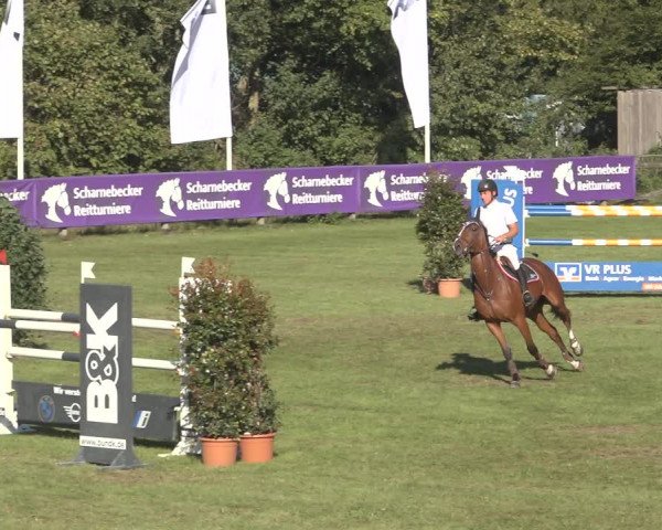 Reitturnier Scharnebeck 2023