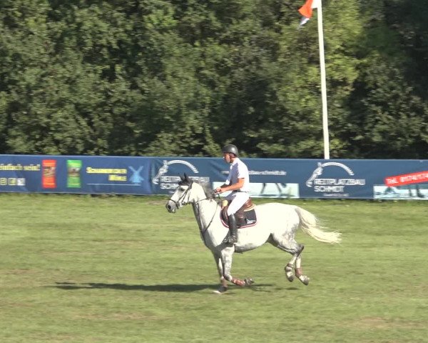Reitturnier Scharnebeck 2023
