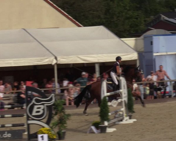 Reitturnier Marl, Hof Ostgathe 2023