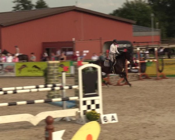 Reitturnier Marl, Hof Ostgathe 2023