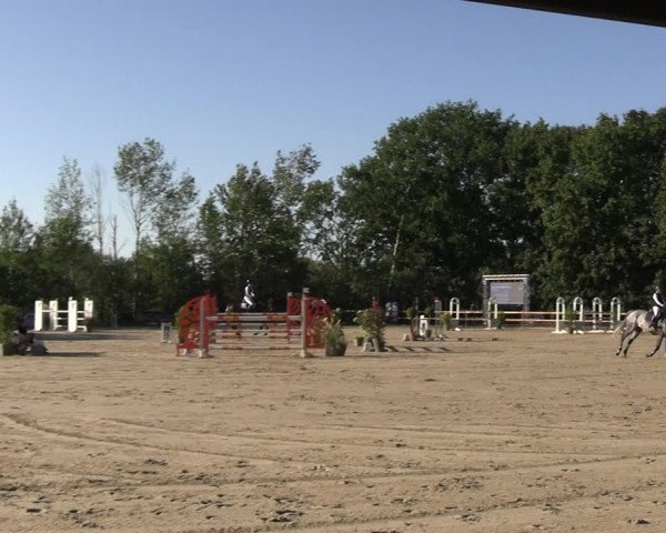 Reitturnier Scharnebeck 2023