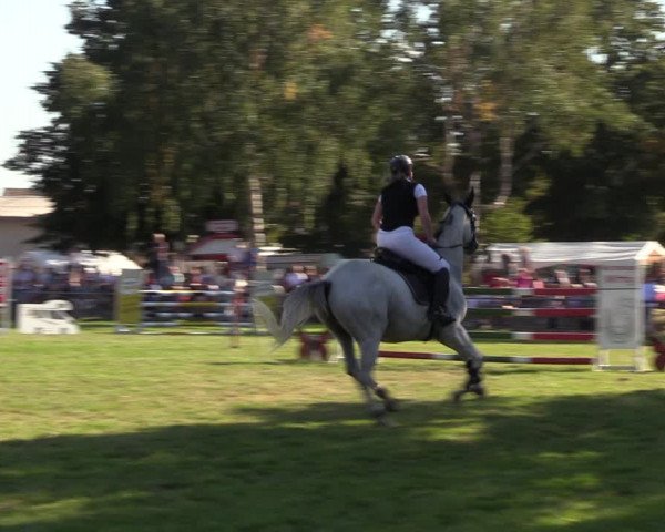 Reitturnier Altmittweida 2023