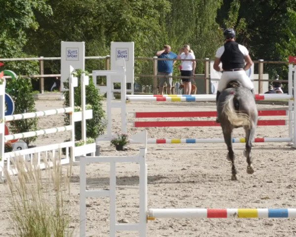 Reitturnier Waldenbuch-Hasenhof 2023