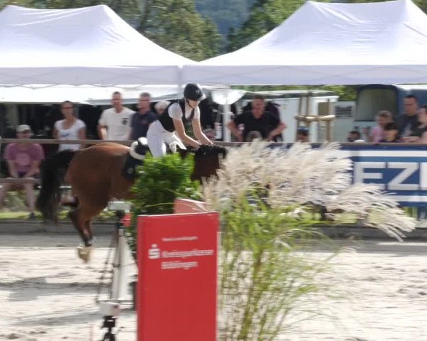 Reitturnier Waldenbuch-Hasenhof 2023
