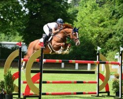 jumper Bibi Blocksberg 26 (Hanoverian, 2013, from Balou du Rouet)