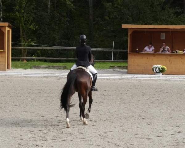 Reitturnier Ditzingen 2023