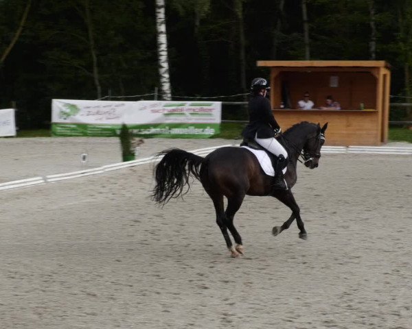 Reitturnier Ditzingen 2023