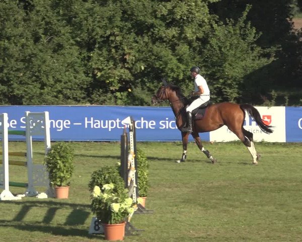 Reitturnier Scharnebeck 2023
