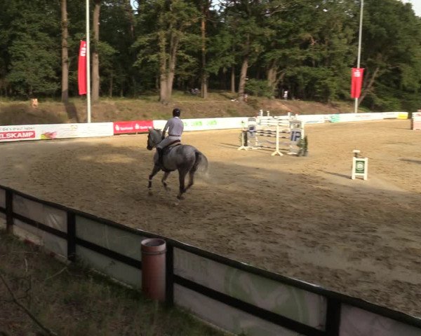 Reitturnier Albersloh 2023