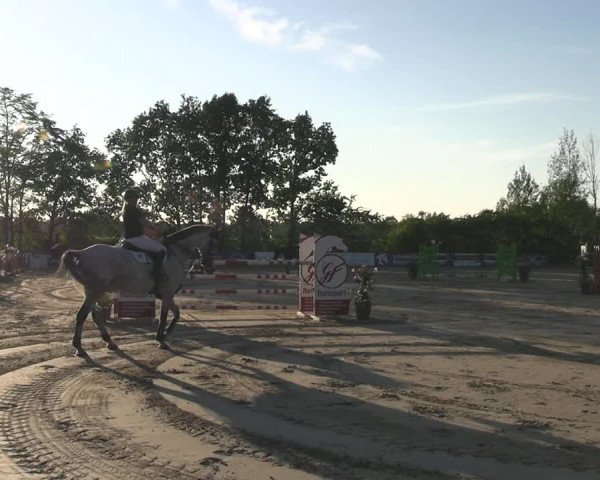 Reitturnier Scharnebeck 2023