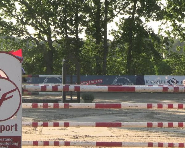 Reitturnier Scharnebeck 2023
