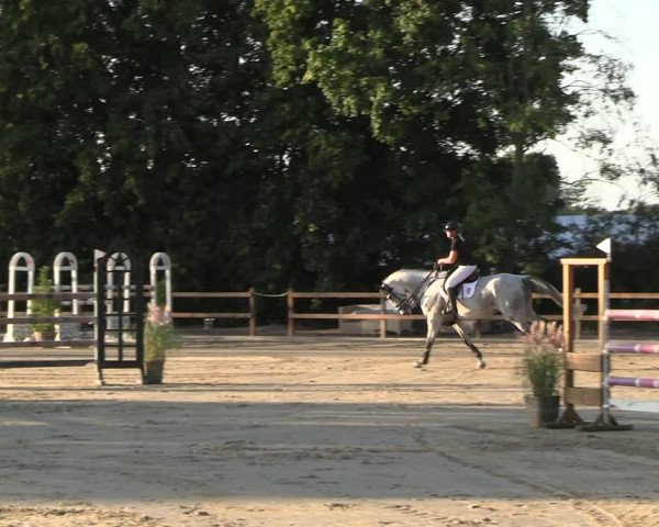 Reitturnier Scharnebeck 2023