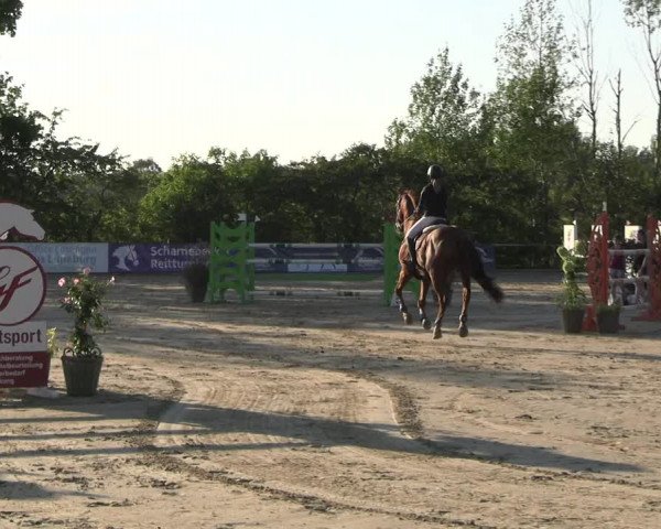 Reitturnier Scharnebeck 2023