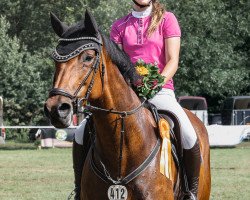 Springpferd Fideliga (Holsteiner, 2013, von Limbus)