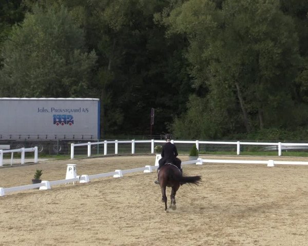 Reitturnier Oberkaufungen 2023