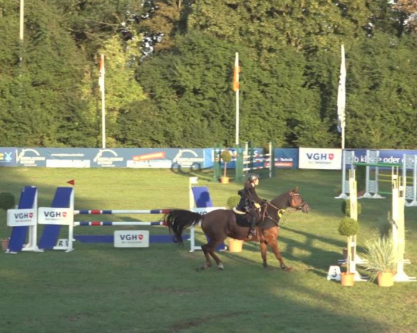 Reitturnier Scharnebeck 2023