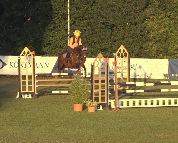 Reitturnier Scharnebeck 2023