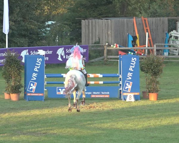 Reitturnier Scharnebeck 2023