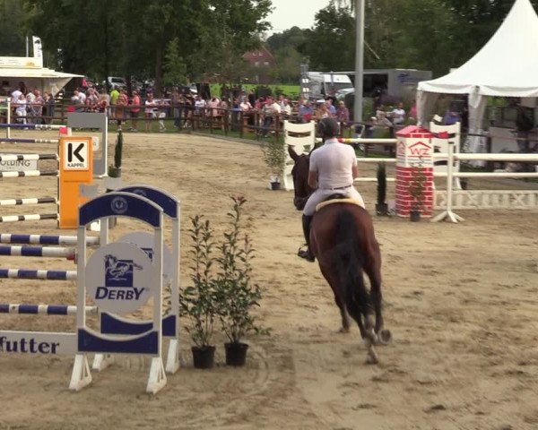 Reitturnier Albersloh 2023