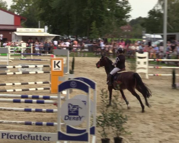Reitturnier Albersloh 2023