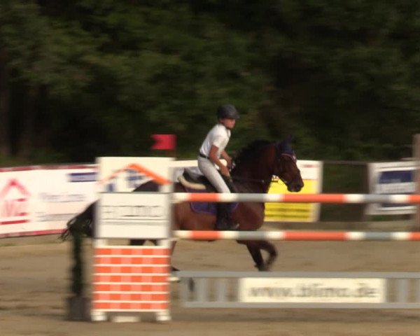 Reitturnier Albersloh 2023