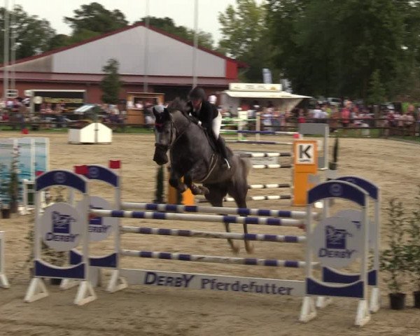 Reitturnier Albersloh 2023