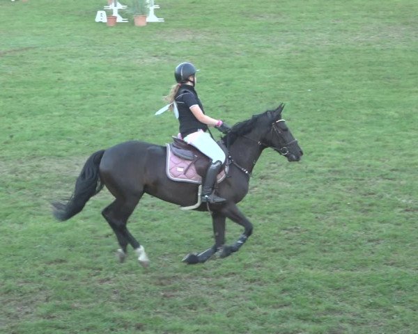 Reitturnier Scharnebeck 2023