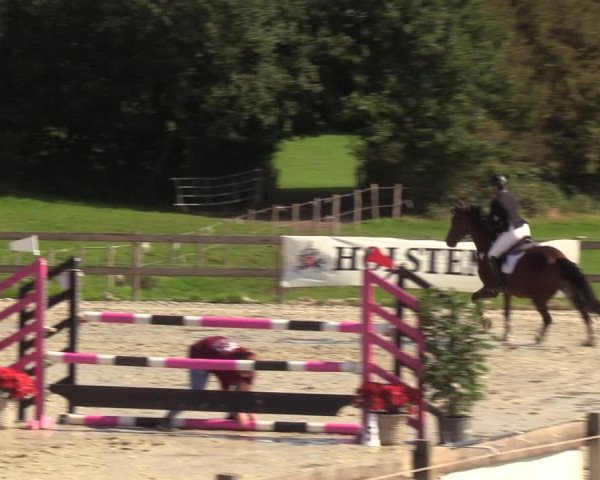 Reitturnier Loop/ Looperholz 2023