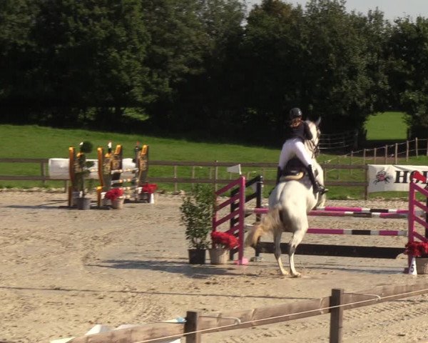 Reitturnier Loop/ Looperholz 2023
