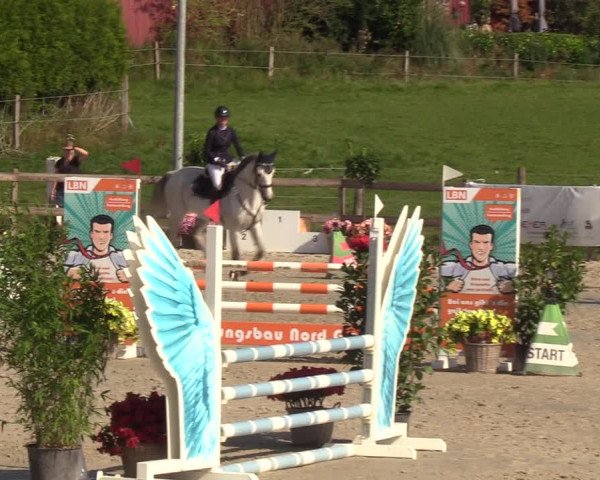 Reitturnier Loop/ Looperholz 2023