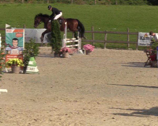 Reitturnier Loop/ Looperholz 2023