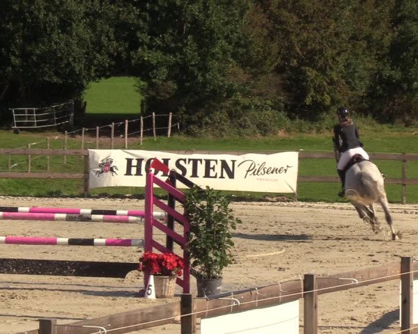Reitturnier Loop/ Looperholz 2023