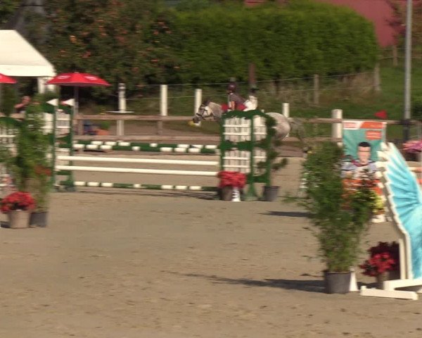Reitturnier Loop/ Looperholz 2023