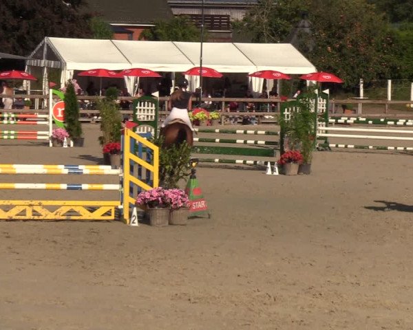 Reitturnier Loop/ Looperholz 2023