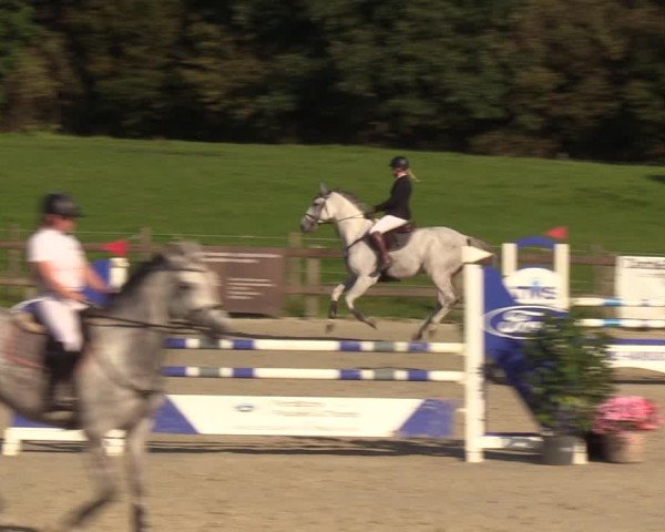 Reitturnier Loop/ Looperholz 2023