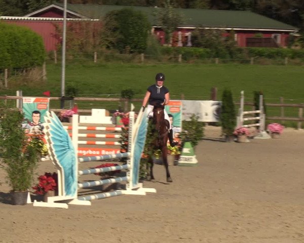 Reitturnier Loop/ Looperholz 2023